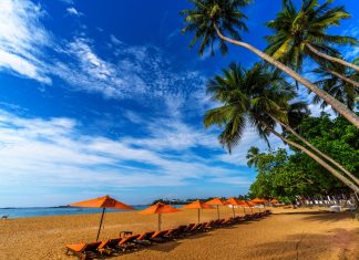 Wisata Berlayar di Sri Lanka