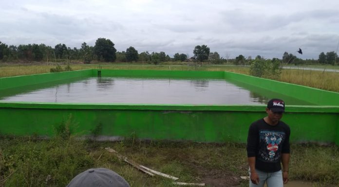Terus Cetak Sawah Baru, Kementan Siap Beri Bantuan Cianjur