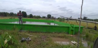 Genjot Lahan Rawa, Kementan Tetap Cetak Sawah Baru