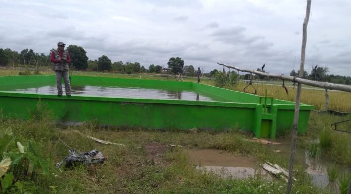 Genjot Lahan Rawa, Kementan Tetap Cetak Sawah Baru