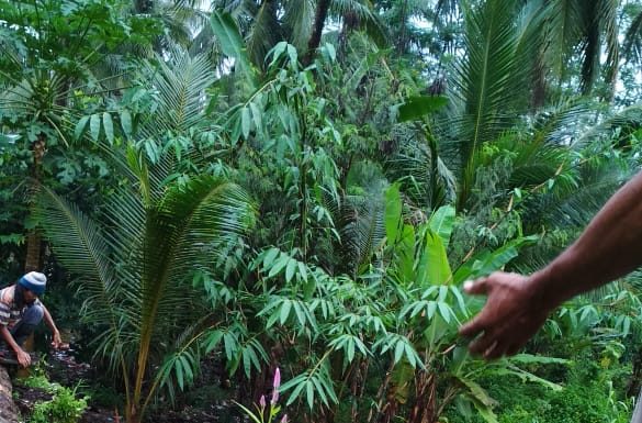 Kurangnya Perhatian Pemerintah Desa, Warga Perbaiki Jembatan Dengan Iuran dan Gotong-Royong