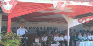 Serius Optimasi Lahan Rawa Sulsel, Mentan Amran Kumpulkan 15 Ribu Petani