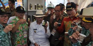 Banten Kembangkan Ratusan Hektare Kopi