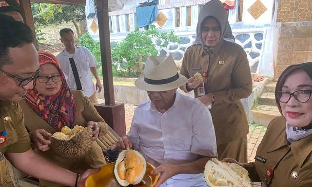 WH: Kualitas Durian Banten Berkelas Internasional