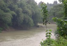 Curah Hujan Meningkat, BPBD Lebak Waspadai Debit Sungai Ciberang