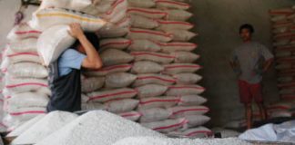 Produksi beras Lebak 160.442 ton, cukup untuk kebutuhan 6 bulan