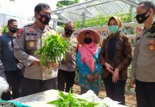 Jadi Percontohan Daerah Lain, Kapolda Metro Jaya Resmikan Kampung Jawara Tangsel
