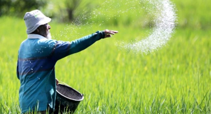 Petani Kabupaten Lebak Keluhkan Kelangkaan Pupuk Bersubsidi