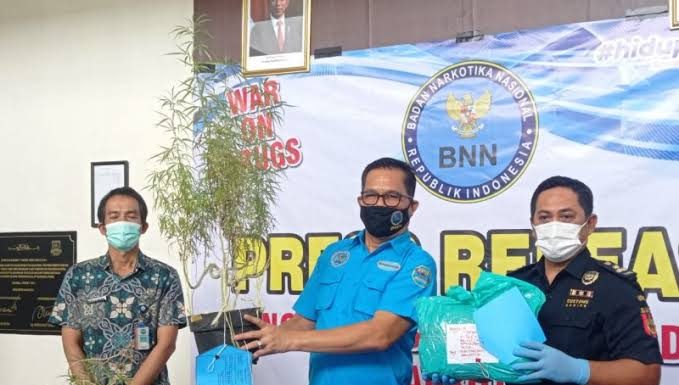 BNNP Banten Tahan Dua Tersangka Pengedar ganja Jaringan Aceh