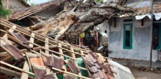 Dua rumah di Kota Serang Rusak Tertimpa Pohon Besar Tumbang