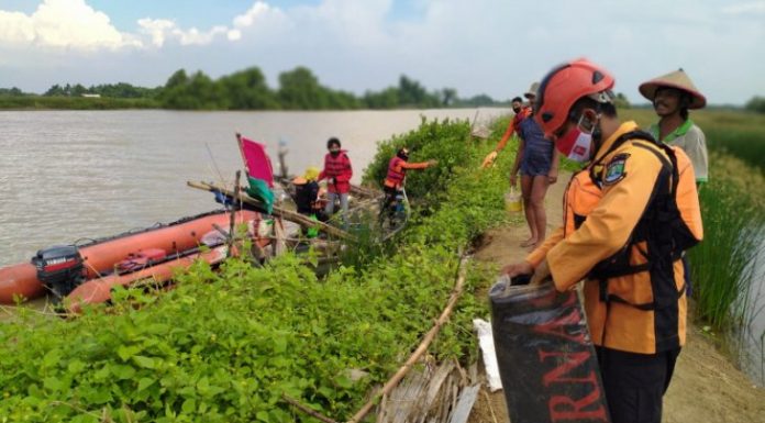 Jasad Bocah Tenggelam Sungai Ciujung Ditemukan Badan SAR Nasional Banten