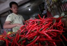 Harga Cabai di Pasar Badak Pandeglang Tembus Rp80 Ribu Perkilogram