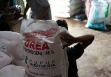Pupuk subsidi musim tanam Desember 2021 di Banten tersedia 12.307 ton