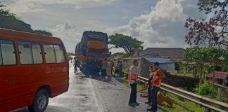 Diduga Ngantuk, Dua Truk Terlibat Kecelakaan di Tangerang–Merak, Satu Orang Tewas