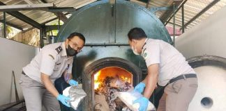 Cegah OPTK, Karantina Pertanian Cilegon Musnahkan Sampel Uji Laboratorium
