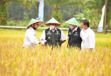 Pemprov Banten Apresiasi Penyaluran KUR Pertanian