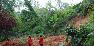 Akses Jalan Antardesa di Kecamatan Bojonegara Tertutup Akibat Longsor