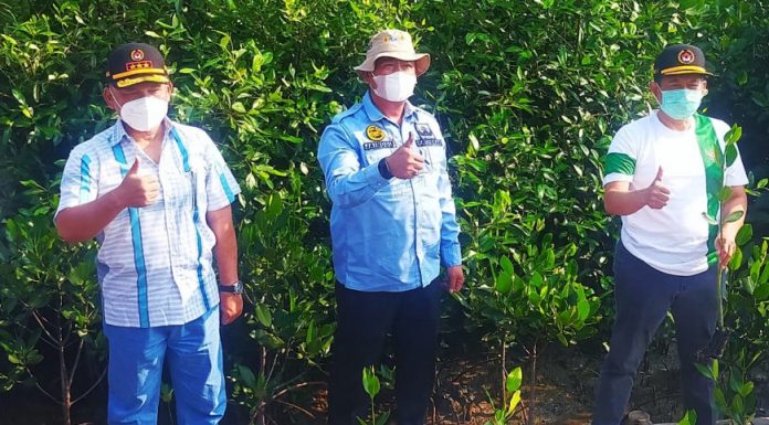 Pemkab Tangerang Gencarkan Penanaman Mangrove di Ketapang Urban Aquaculture