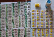 Wanita Jual Ribuan Obat Keras Ditangkap Polisi