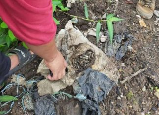 Gali Tanah Kolam Ikan, Warga Padarincang Dihebohkan Penemuan Puluhan Peluru