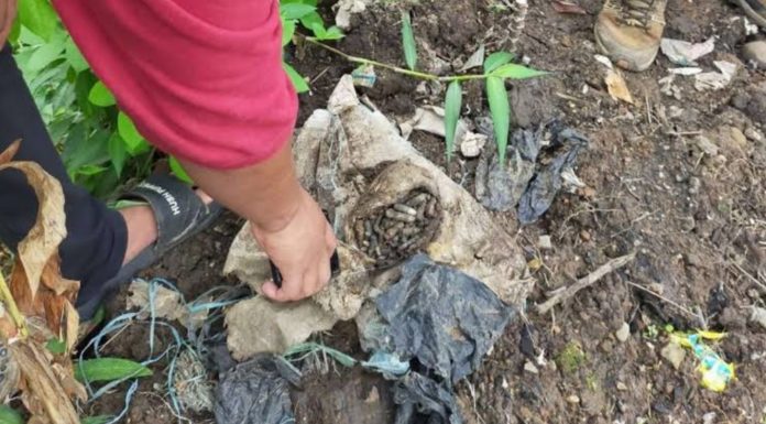Gali Tanah Kolam Ikan, Warga Padarincang Dihebohkan Penemuan Puluhan Peluru