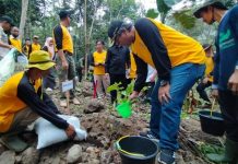 Lahan Kritis di Kabupaten Serang Fluktuatif, DLH: Pemulihan Kejar Kejaran dengan Pemanfaatan Lahan