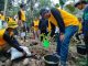 Lahan Kritis di Kabupaten Serang Fluktuatif, DLH: Pemulihan Kejar Kejaran dengan Pemanfaatan Lahan