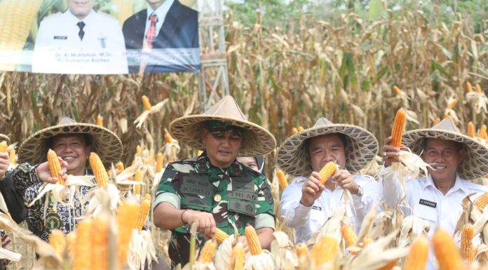 Terima PIN Ketahanan Pangan, Walikota Serang Siapkan Lahan Produktif Untuk Ladang Jagung