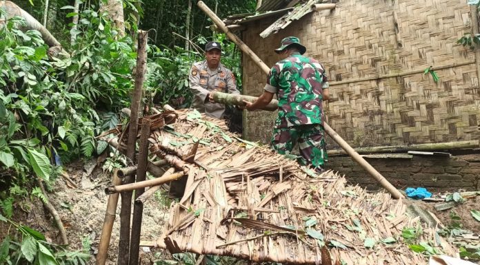 TNI & Polri Bantu Warga Evakuasi Pohon