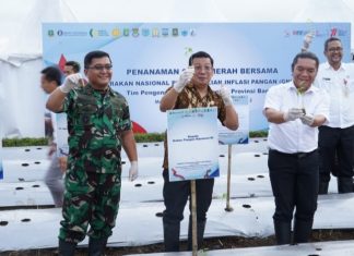 Gerakan Pengendalian Inflasi Pangan, Danrem 064/MY Tanam dan Panen Cabai