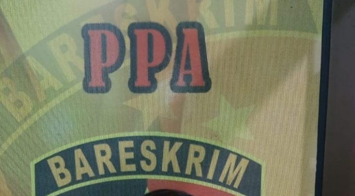 Usai Terbitkan DPO, Pria Cabul ini Diringkus Polisi
