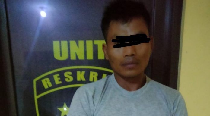 Pelaku Pencurian Ranmor Resahkan Warga di Ringkus Polisi