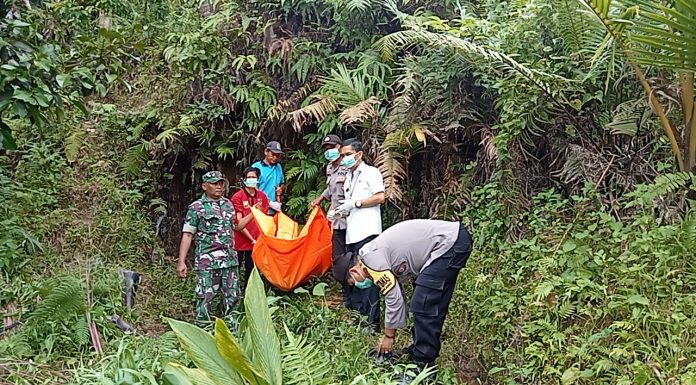 Warga Lebak Kaget Temukan Mayat Wanita di Persawahan