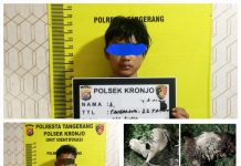 Curi Kambing Warga, Dua Pemuda ini Ditangkap Polsek Kronjo