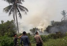 Polsek Ciruas dan Damkar Kabupaten Serang Respons Cepat Kebakaran Lahan Kosong