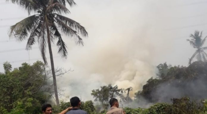 Polsek Ciruas dan Damkar Kabupaten Serang Respons Cepat Kebakaran Lahan Kosong