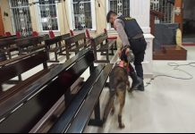 Ditsamapta Polda Banten Unit K9 Gelar Kegiatan Sterilisasi Gereja