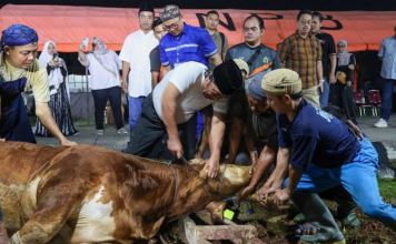 Pj Gubernur Banten Al Muktabar Distribusikan Daging Qurban Untuk Cegah Stunting