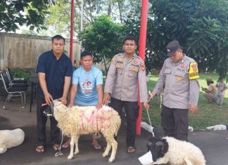Rayakan Idul Adha 1445 H, Kapolres Serang Salurkan Hewan Qurban Ke Ponpes dan Masyarakat