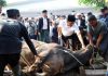 Pj Gubernur Banten Al Muktabar Sembelih Hewan Qurban Bantuan Presiden