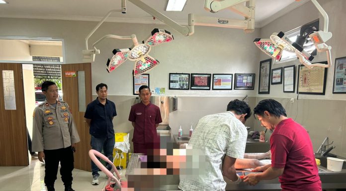 Diduga Frustasi Kisah Asmara, Seorang Remaja Tewas Usai Minum Antimo 16 Butir