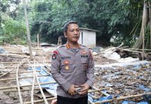 Polda Banten Tegaskan Arena Sabung Ayam di Walantaka Ditutup Permanen