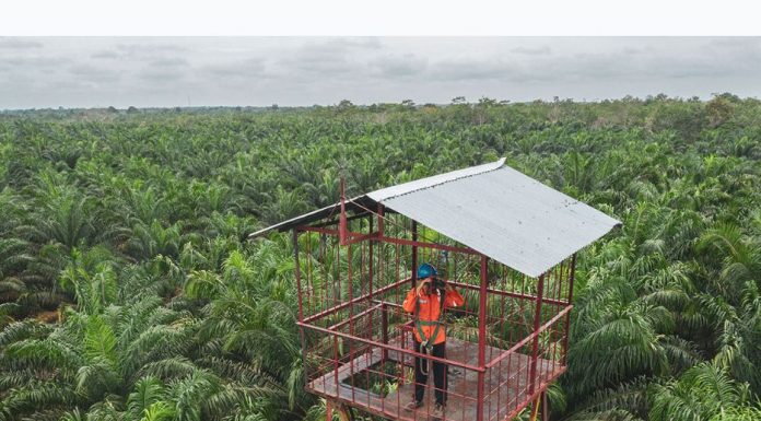 Kolaborasi Raksasa: Kao, Apical, dan Asian Agri Targetkan 5.000 Petani Sawit Swadaya Naik Kelas