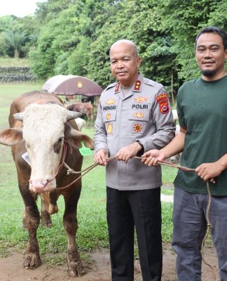 70 Sapi dan 5 Domba Qurban Polda Banten Disalurkan kepada Masyarakat