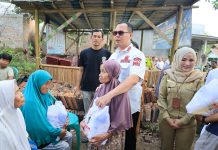 Walikota Serang Serahkan Sapi Kurban Presiden Prabowo 1,1 Ton untuk Warga Walantaka