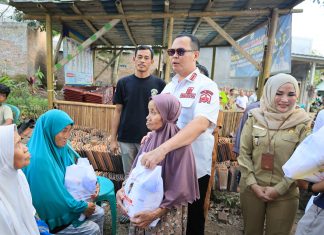 Walikota Serang Serahkan Sapi Kurban Presiden Prabowo 1,1 Ton untuk Warga Walantaka