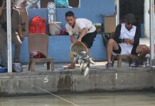 Mancing Jadi Simbol Kesabaran dan Kolaborasi, PWKS Rayakan HUT Kota Serang dan Kemerdekaan RI