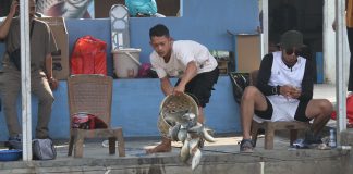 Mancing Jadi Simbol Kesabaran dan Kolaborasi, PWKS Rayakan HUT Kota Serang dan Kemerdekaan RI